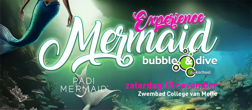 mermaid banner